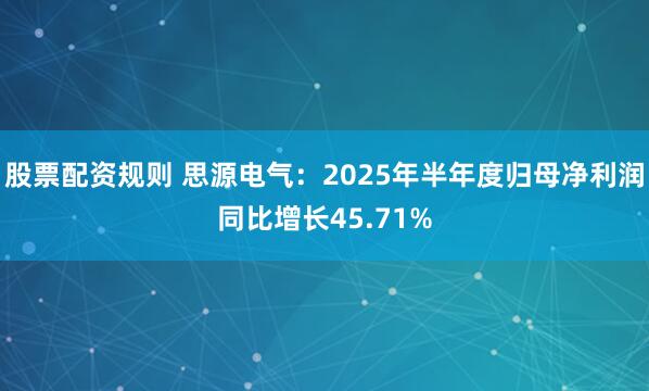 股票配资规则 思源电气：2025年半年度归母净利润同比增长45.71%
