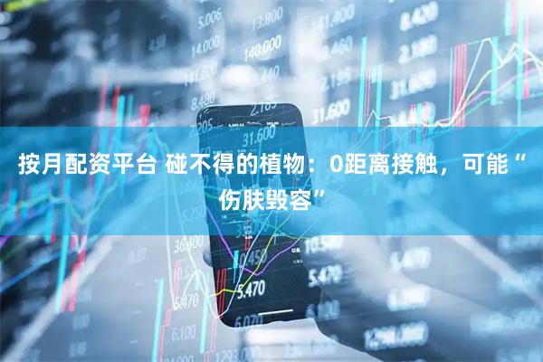 按月配资平台 碰不得的植物：0距离接触，可能“伤肤毁容”