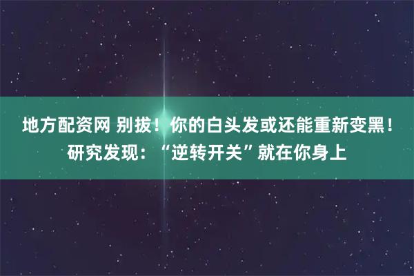 地方配资网 别拔！你的白头发或还能重新变黑！研究发现：“逆转开关”就在你身上